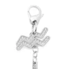 charm acquarius Rhinestones ile Metal Kova burcu charm