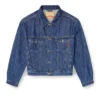 d-ranger Denim trucker ceket