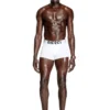 damien-d-pop-3pack-40 Streç pamuktan üretilmiş üçlü paket boxer şort