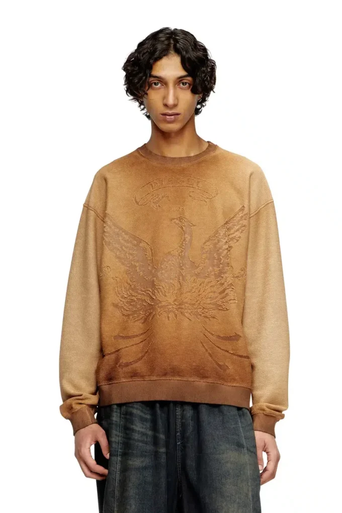 s-aron Soluk sweatshirt, devoré Phoenix logolu