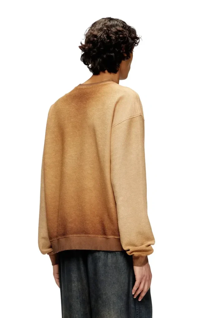 s-aron Soluk sweatshirt, devoré Phoenix logolu